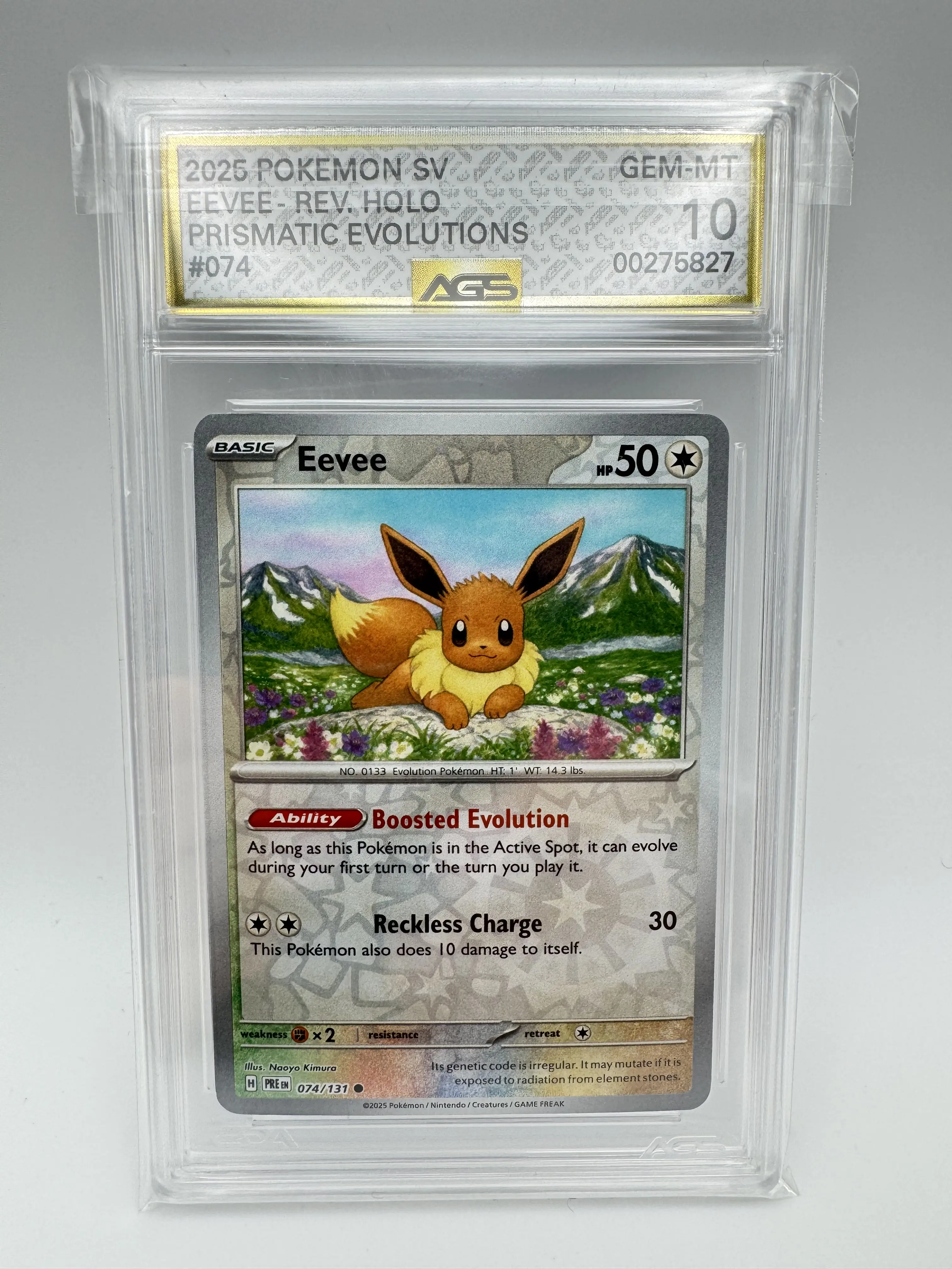 graded eevee card Pokemon Non Holo Gym Promo Pack 5 Promo 163/S-P Japanese Gr Japan2UK proof acrylic case and featuring a striking image of the captivating character Graded AGS 10 Eevee REVERSE