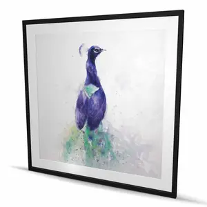212 MAIN Artistic Peacock Purple-Framed Matted Print Wall Artwork, 48x48 in., Vibrant Feathers Home Decor Accessory, Room Decoration Gift