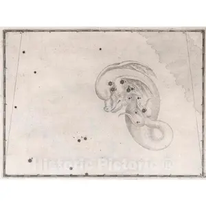 Constellation Delphinus - Celestial Map, 1655 - Historical Star Chart