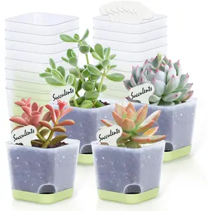 20 Pack 3 Inch Plastic Succulent Pots with Drainage Holes & Saucers, Square  Planters for Indoor Outdoor , Half Clear Flower Pots