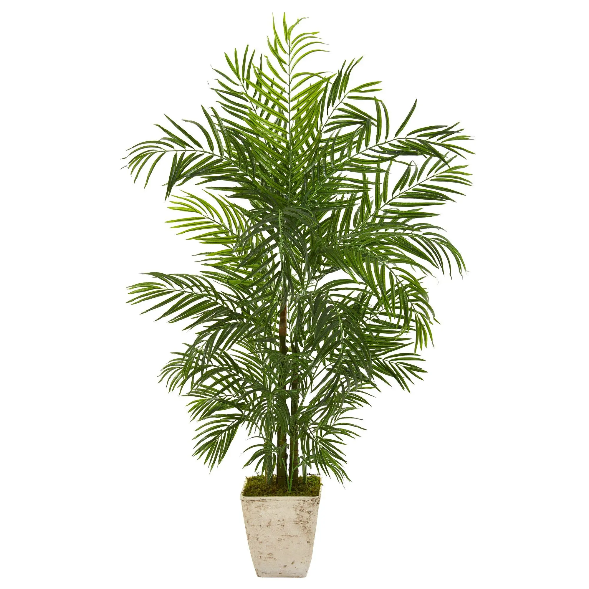 63" Tall UV-Resistant Artificial Areca Palm Tree - Silk Floor Artificial Tree with Country Rustic White Planter, Indoor Plants for Living Room, Home Decor Ornament