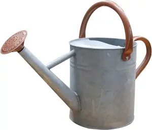Metal Watering Can, One Gallon Watering Cans Stainless Steel for Outdoor Indoor Garden  Watering (Zinc 1 Gallon)