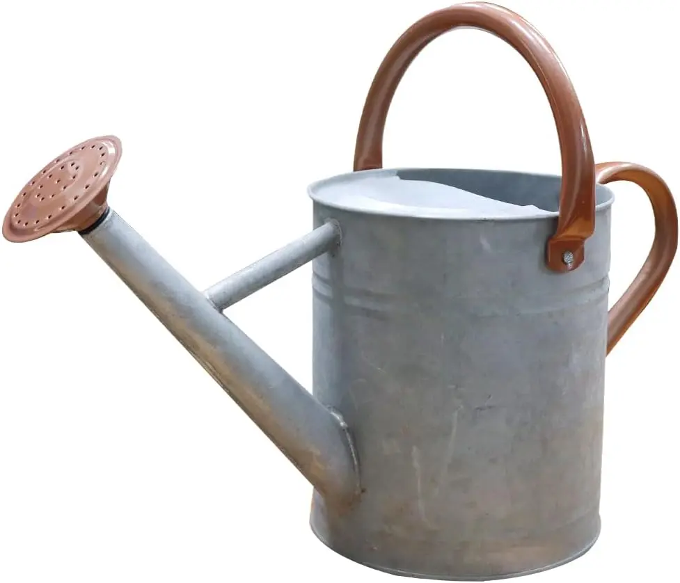 Metal Watering Can, One Gallon Watering Cans Stainless Steel for Outdoor Indoor Garden  Watering (Zinc 1 Gallon)
