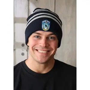 Ravenclaw Knitted Hat
