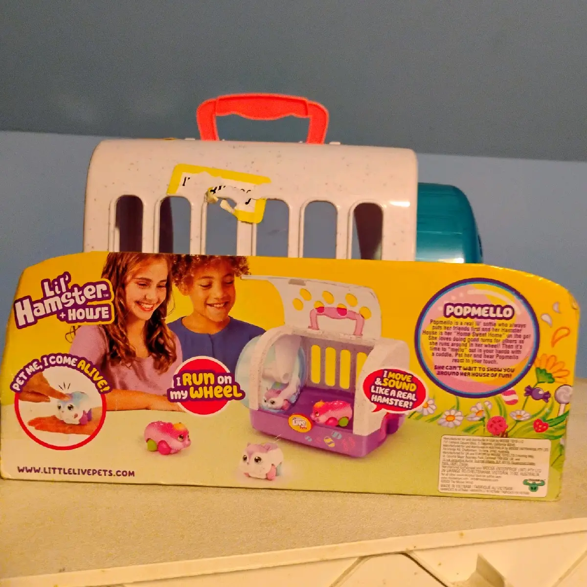 Safe and Efficient Hamster/Rodent Carrier for Easy Transport