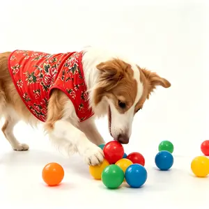 Printed Pet Coat
