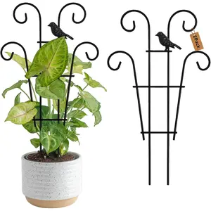 Indoor  Trellis for Potted  with Bird, Small Metal Indoor Trellis for Climbing  Indoor for Houseplant, Pothos  Climber Support for Hoya Vine, 2p