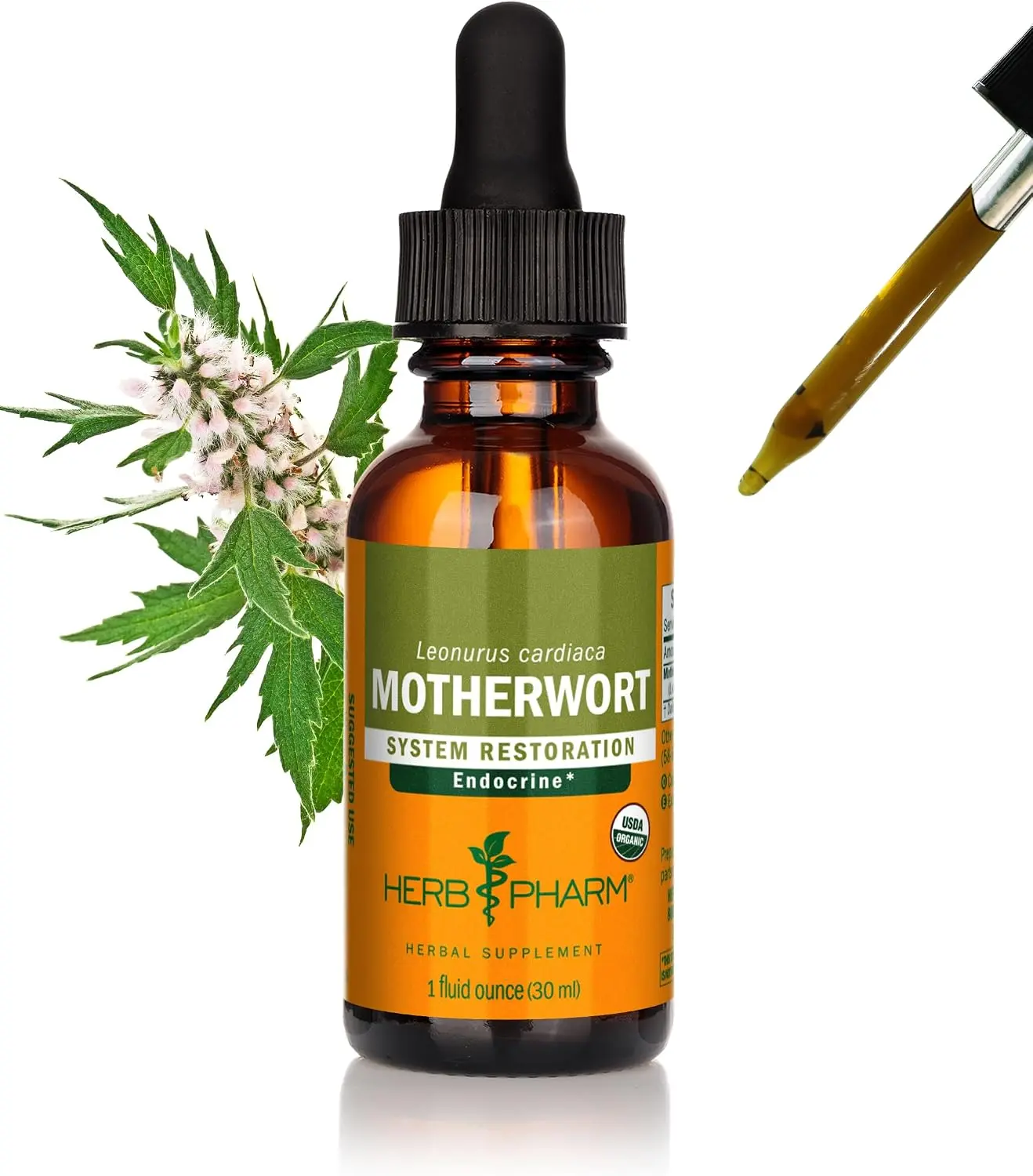 Herb Pharm Certified Organic Motherwort Liquid Extract Drops for Endocrine System Support, 1 Oz