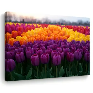 A vivid tulip garden canvas wall art with wooden frame and colorful floral print, Floral landscape print, size 11.8x15.7inch, suitable for home, office decoration, Dopamine Decor. Ideal Valentine's Day gift