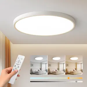 Homelist LX Series Eye Protection LED Flush Mount Ceiling Light Fixture, Brighter Ultra-Thin Ceiling Light for Children's Bedroom, Adjustable Modes, Remote Control, CRI>98, No Flicker