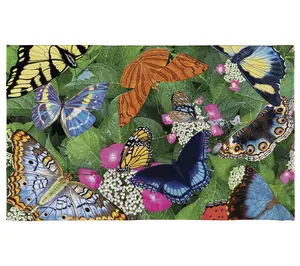 Evergreen Hello Butterflies Washable Indoor/Outdoor Mat
