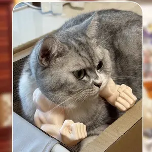 Cat Hulk Arm Decoration for Cats Super Strong Muscle Arms Pet Grooming Accessories Cute Halloween Christmas Costume