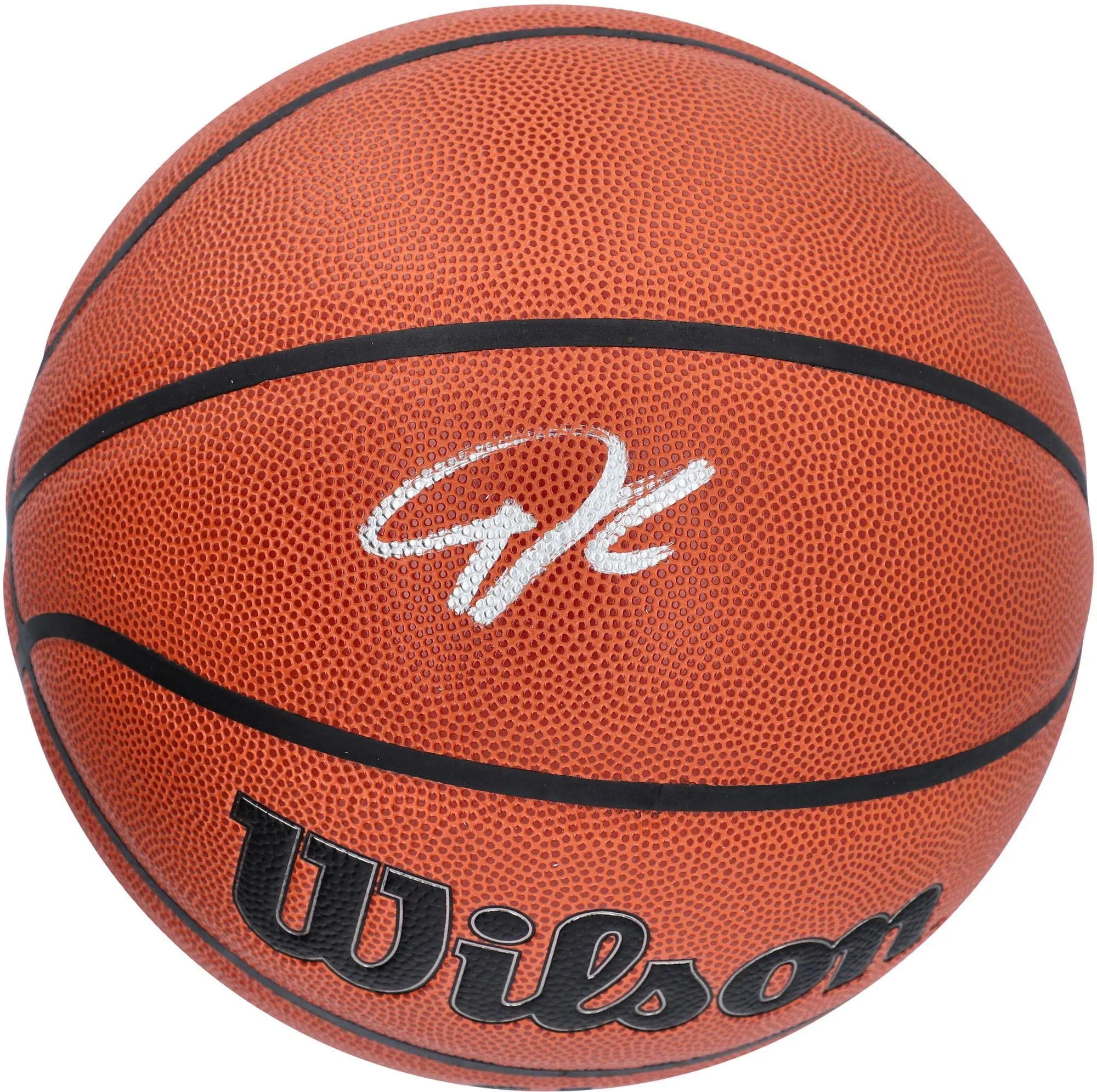 Giannis Antetokounmpo Miami Heat Autographed Wilson Indoor/Outdoor Basketball - Fanatics Authentic Certified