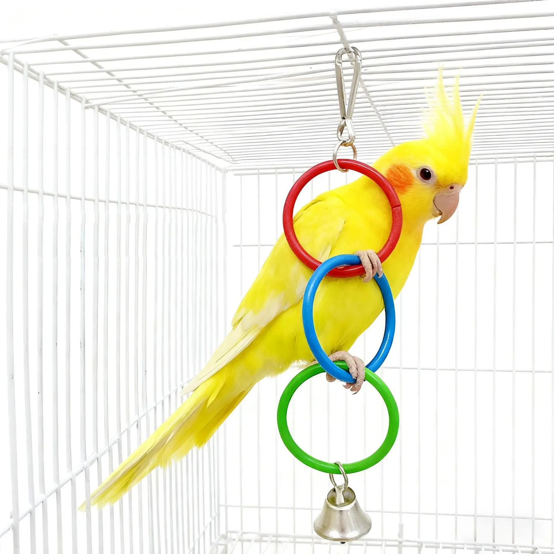 Macaron Color Parrot Swing Hanging Ring, Bird Climbing & Chewing Toy, Boredom Relief, Intellectual & Physical Exercise, Bird Cage Decoration