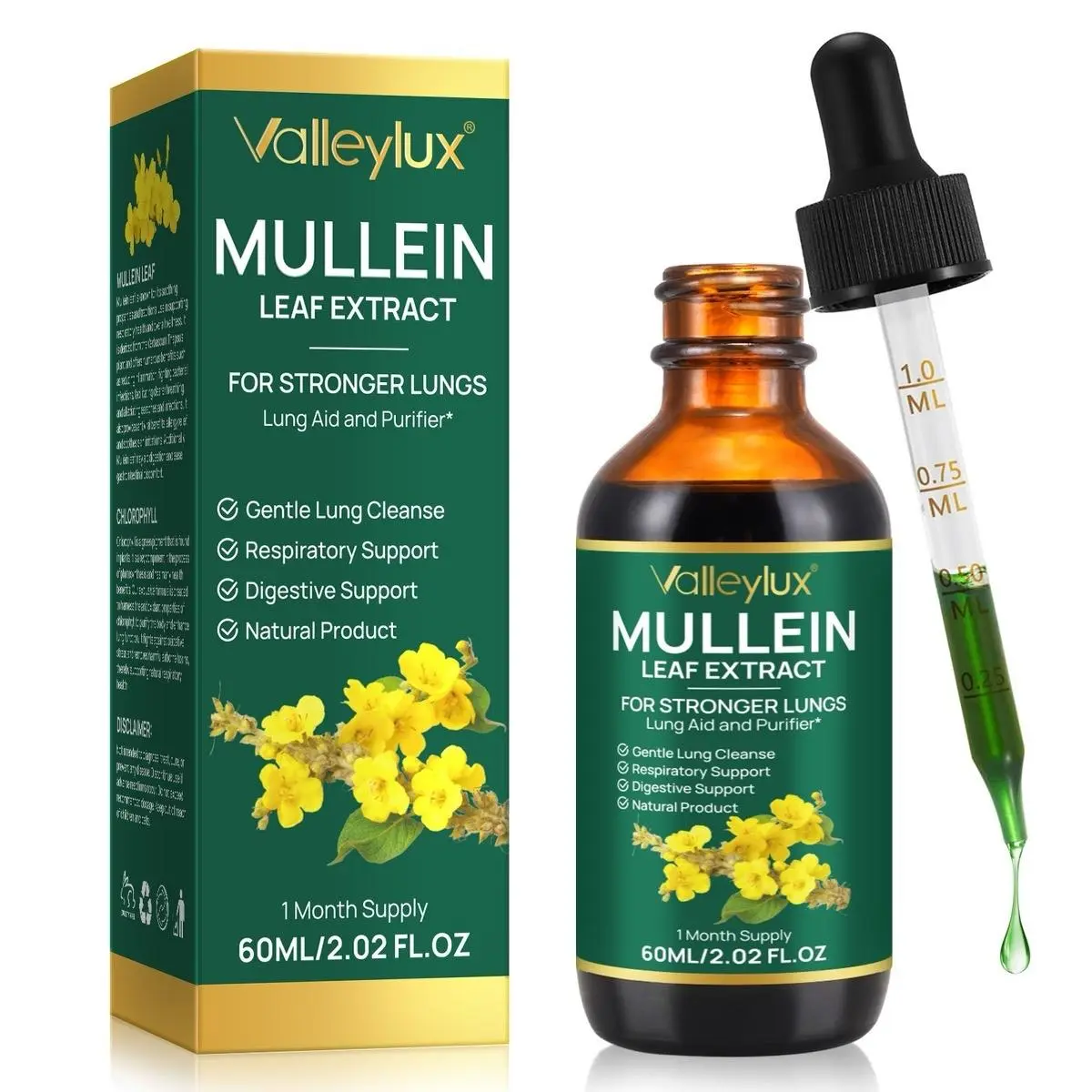 Mullein Leaf Drops with Chlorophyll Extract | Herbal Mullein Leaf Liquid Supplement | Daily Wellness & Respiratory Support Drops