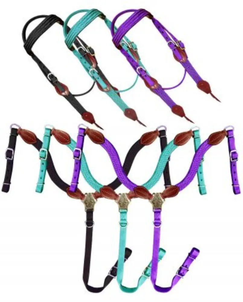 Flat Braid Nylon Bridle and Breast Collar Set