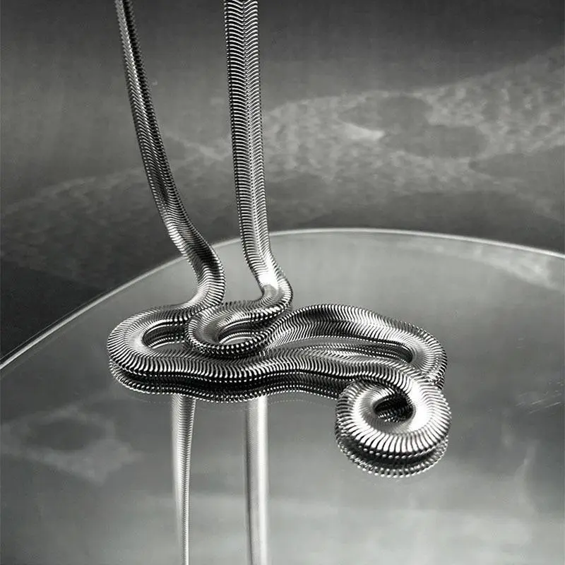 Non Fading New Wide  Bone Chain Titanium Steel Cool and Cool Ste Hip-hop Earth Cool Chain Peonalized Niche Jewelry