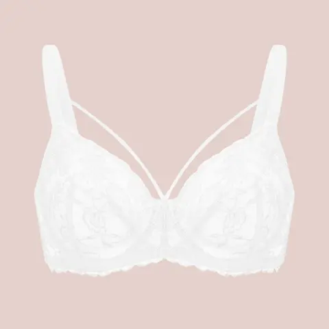 HSIA Pretty In Petals Strappy Floral Lace Unlined Plus Size Underwire Bra