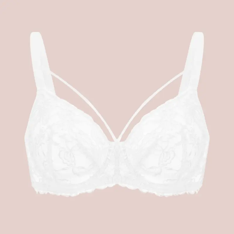 HSIA Pretty In Petals Strappy Floral Lace Unlined Plus Size Underwire Bra