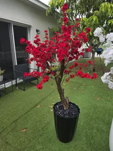 Artificial Stone Ornaments for Home Decor