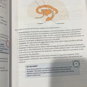 review image 2
