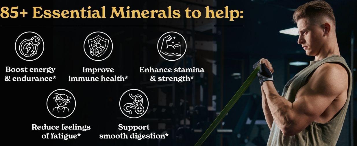 Better Alt Pure Himalayan Shilajit Resin Pack of 1 High Potency Gold Grade 150 Servings for Energy Boost & Immune Support, 85+ Trace Minerals, 75%+ Fulvic Acid, with Lab Test Report,400 mgundefined