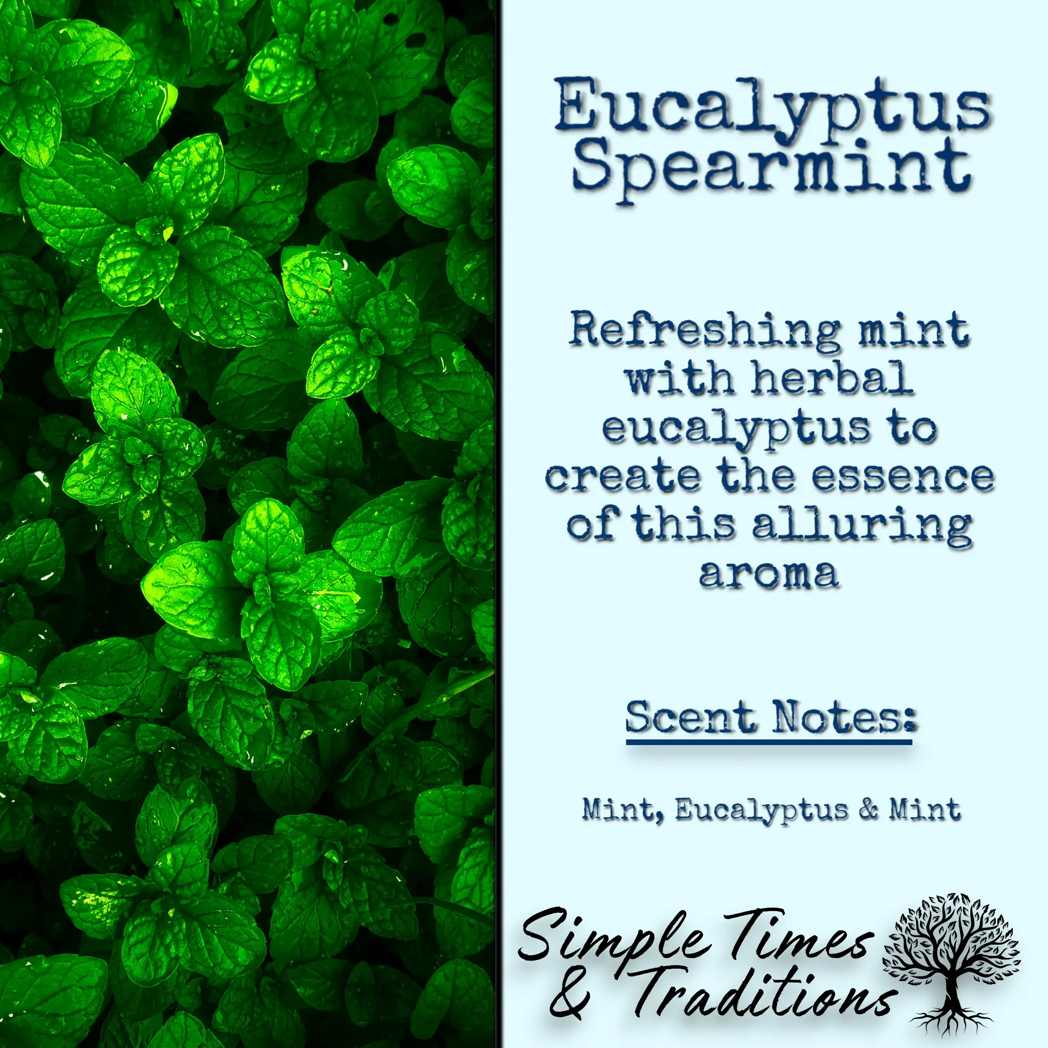 Eucalyptus Spearmint