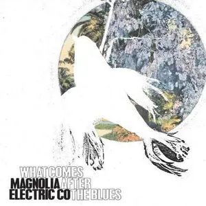 Magnolia Electric Co - What Comes After the Blues NEW Vinyl Record 656605010212