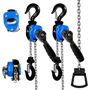 1/4 Ton Chain Hoist (2-Pack) 550 lbs Capacity 10 ft Lifting Height Small Hand Chain Hoist Alloy Steel G80 Chain 2 Heavy Duty Hooks Manual Lever Chain Hoist Suitable for Garage Warehouse Automotive MachineryQuesear