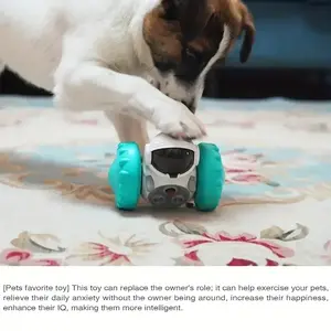 Fun Challenging Small and Medium Dog Intelligence Toy Feeder, Promotes Mental Stimulation, Slows Down Eating Speed, Interactive Pet Toy