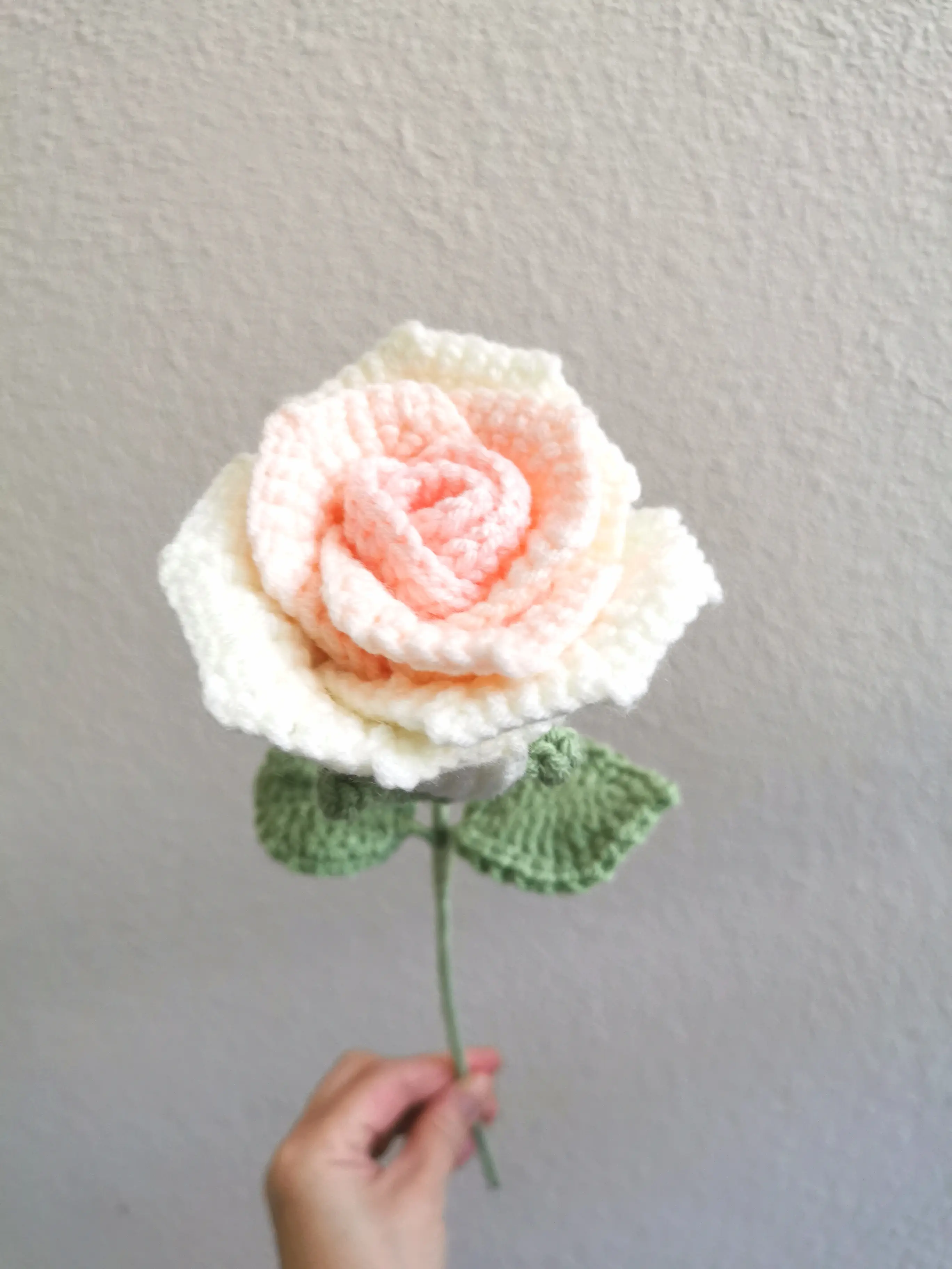 Dq&Dq, Crochet Rose