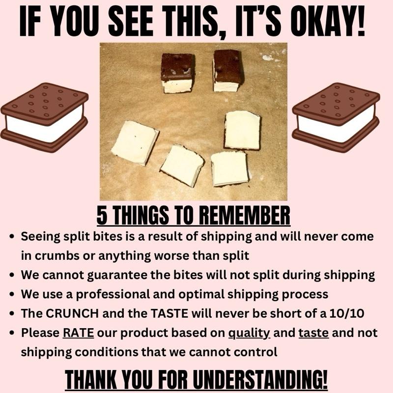 Freeze Dried NEAPOLITAN Ice Cream Sandwich Bites - TikTok Viral - Crunchy Ice Cream - Astronaut Candy