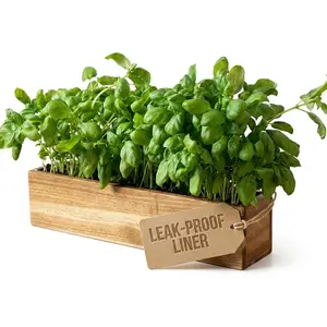 Indoor Planter Box Set of 2-17" x 4" Small Acacia  Window Sill  Planters - Rectangular Wooden Centerpiece Boxes with Liners - No Drain Holes - for Kitchen Tabletop Countertop