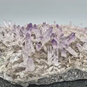 Museum Quality Veracruz Amethyst Cluster | Hundreds of Perfect Points | Veracruz Mexico | Collector Specimen