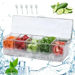 Chilled Condiment Server with Hinged Lid Condiment Tray with Ice Chamber Cooled Compartment Food Containers Caddy Organizer Removable Dishes for Salad Fruit Cheese Outdoor Party Bar Supplies Food Storage Organizer