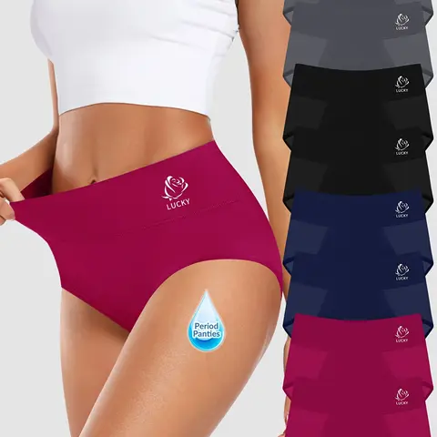 Women's Leak-Proof Period Underwear, High Waisted Minimalist Nylon Mesh Briefs, Reusable and Breathable for Postpartum Protection