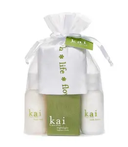 gift bag - signature essentials gift set in a sheer organza bag