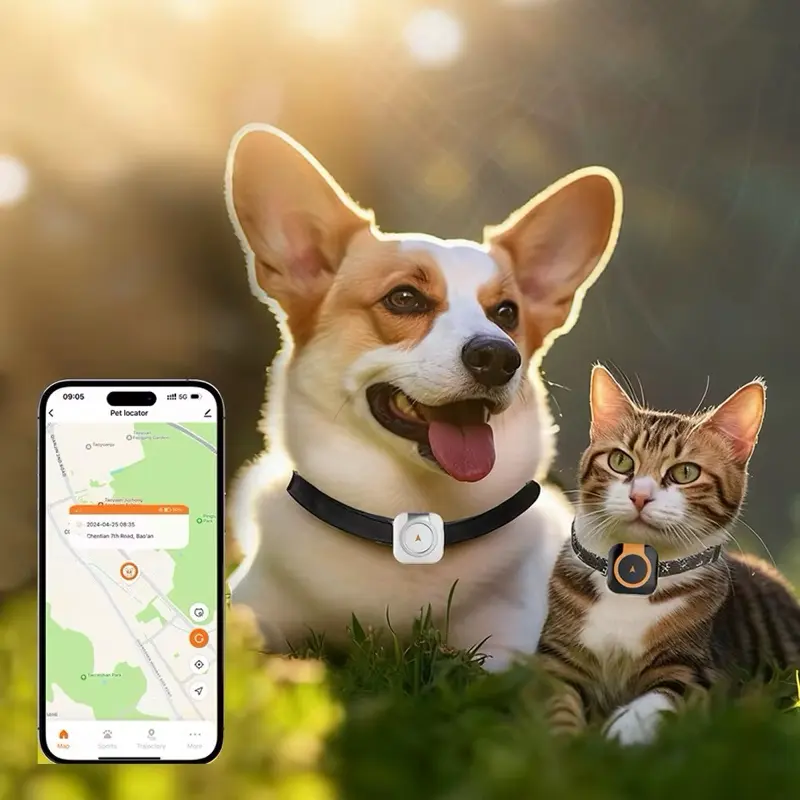 Pet Finder - User-Friendly Pet Locator Tool with Search Functionality for Missing Companions Ideal for Pet Owners