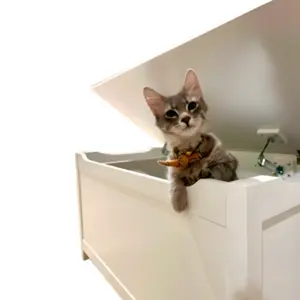 Parker Designer Cat Litter Box Enclosure – Hidden, Dog-Proof, Elegant, Odor-Controlled Furniture (White)