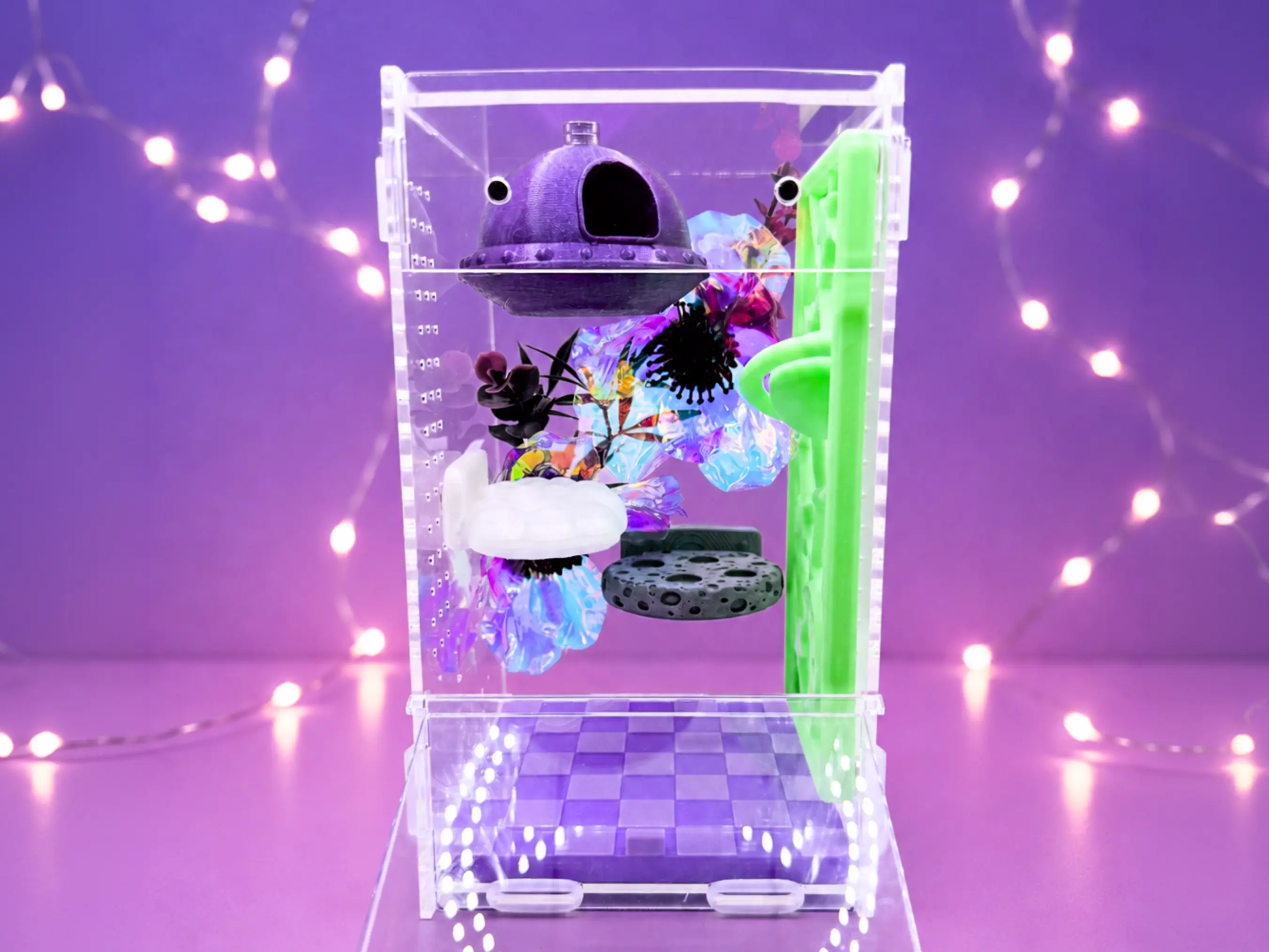 UFO Jumping Spider Enclosure | Complete Decorated Habitat with Climbing Wall and Ledges