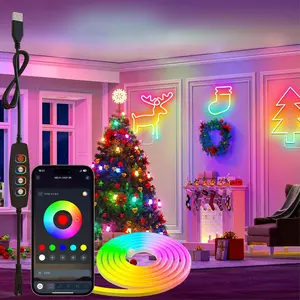 LED Neon Rope Light, RGB Color Changing LED Strip Light with APP Control, LED TV Light, DIY Creativity, Game Room Decor, Home Decor