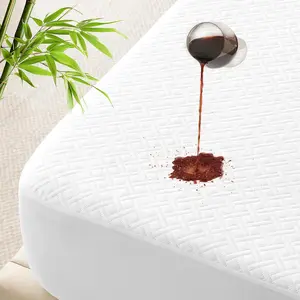 Queen Size Waterproof Mattress Protector Viscose Derived from Bamboo, Soft Mattress Cover Fitted with Deep 8"-21", Breathable Noiseless Mattress Pad, Machine Washable (White)