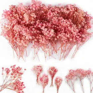 70Pcs Mini Pink Dried Babys Breath Flowers 6'',4000+ Natural Gypsophila, Dry Flowers Bulk for Vase Resin Nails, Art Crafts DIY Pressed Flower Making, Valentines Day Decor, Room Table Wedding Gifts