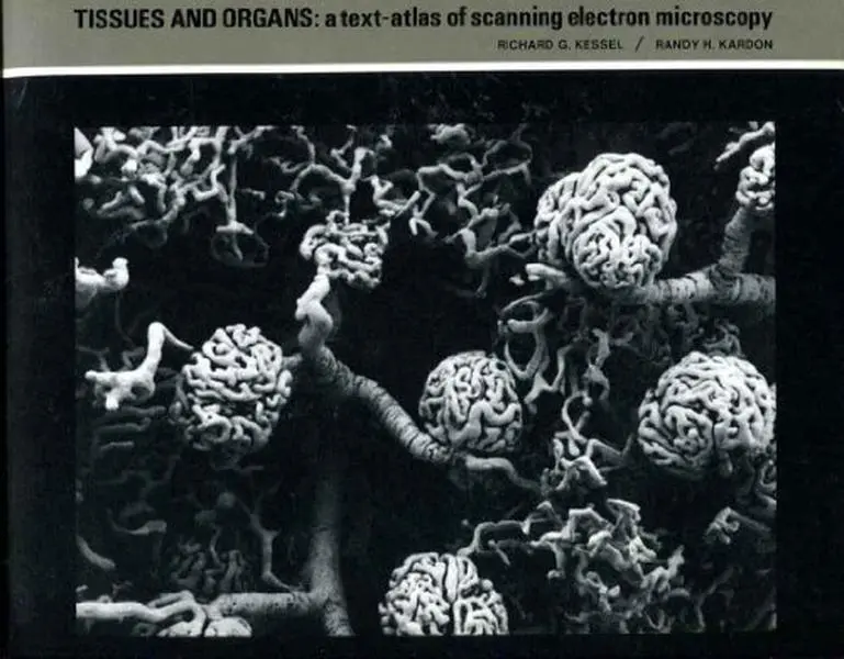 USED-Tissues and Organs: A Text-Atlas of Scanning Electron Microscopy by Richard G. Kessel (Paperback)