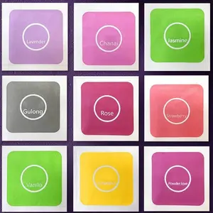 Car Air Freshener Replacement Tablet Flavor Supplement Solid Fragrance Scent Pads Perfume Refill for Air Vent Diffuser Purifier