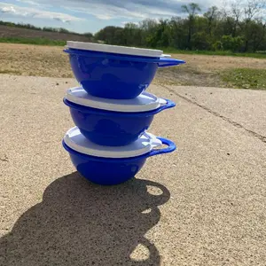 Tupperware Thatsa Extra Mini Bowls 3pc Set