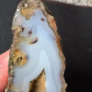 Succor creek water lined agate nodule cut in two