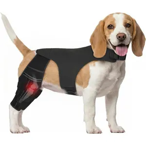 Dog Knee Brace for ACL Tear and Arthritis Recovery Adjustable - Dual Hind Leg Support with Harness Connection - Orthopedic Leg Wrap for Joint Stability and Pain Relief in Small to Large Dog ( (S)