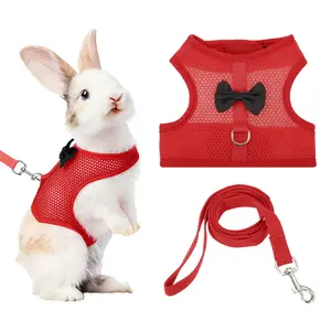PETAXCELL Rabbit Harness and Leash, Small Pet Cute Vest Harness Leash Soft Adjustable Buckle Breathable Mesh (L, Red) for Bunny Kitten Small Pig Puppies Camping Hiking Training