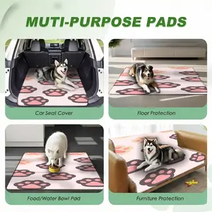 Cute Pet Training Mat, Quick-Dry Absorbent Pad for Cats and Dogs, Non-Slip, Washable, Multiple Sizes Available, Ideal for Daily Use